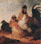 Aelbert Cuyp Rooster and Hens. oil on canvas